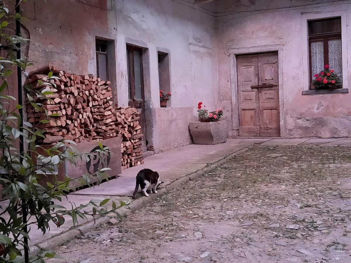 Guest House Seme Di Faggio Miasino 外观 照片