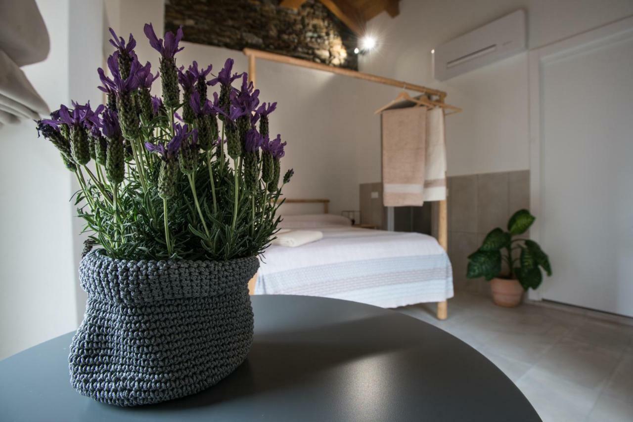 Guest House Seme Di Faggio Miasino 外观 照片